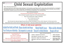 Load image into Gallery viewer, New Safeguarding Posters