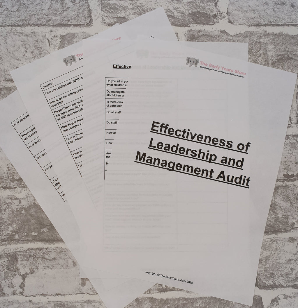 Leadership and Management Audit