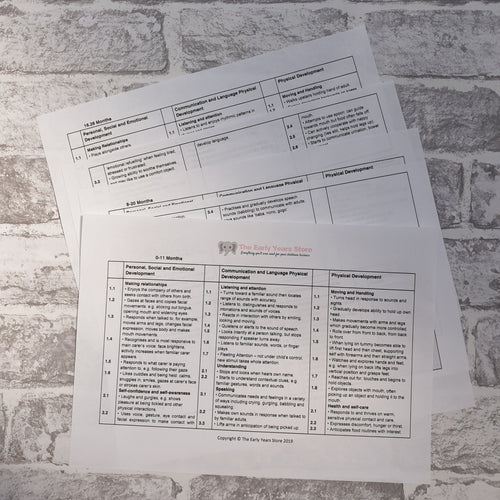 EYFS Observation Record Sheets