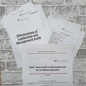Early Years Audit. Leadership and Management Audit, Outdoor Learning Environment Audit