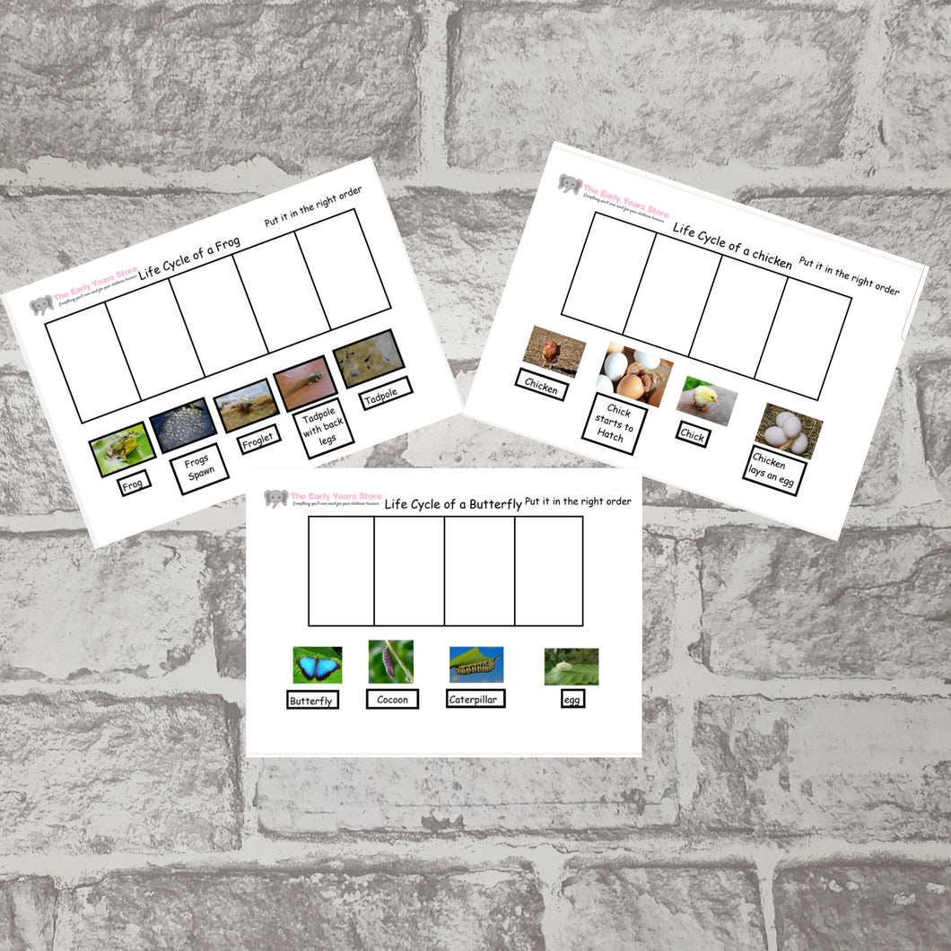 Life Cycle Sequencing Activity