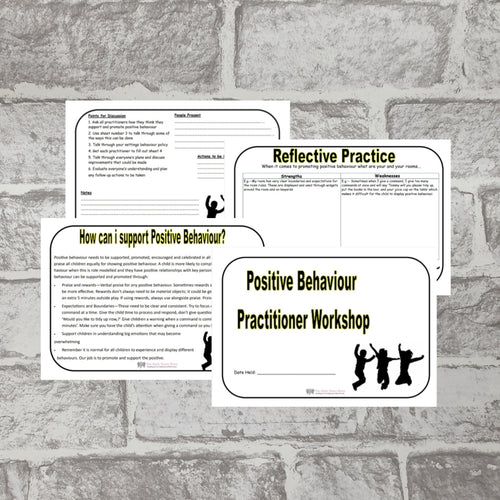 Positive Behaviour Practitioner Workshop