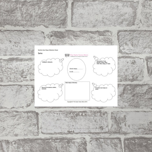 Next Step Reflection Sheet