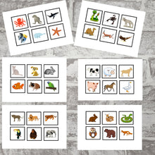 Load image into Gallery viewer, Where do animals live activity