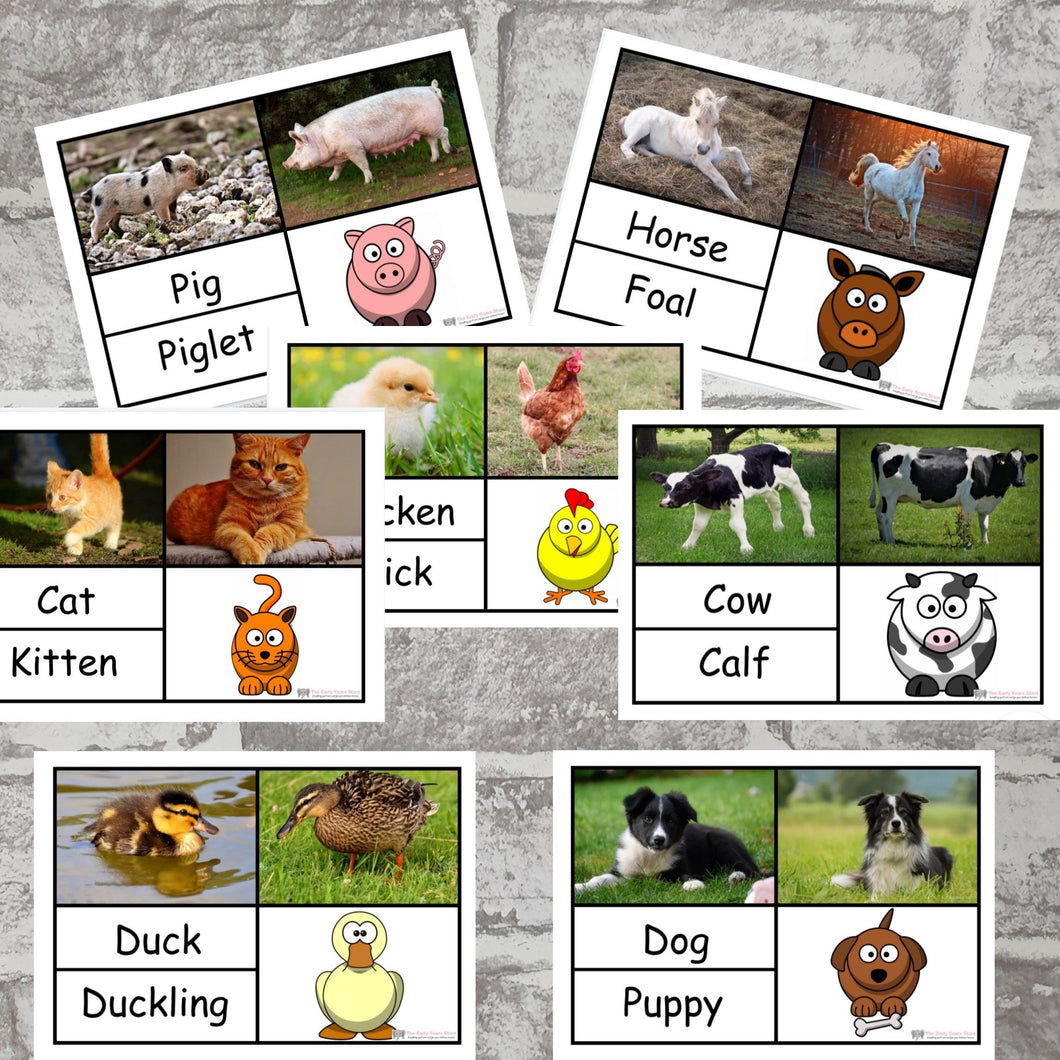 Baby Animal match activity