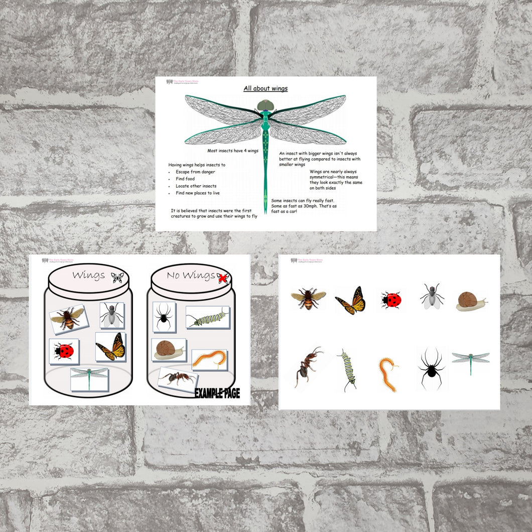 Which mini beasts have wings