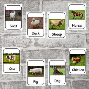 Farm Animal picture cards