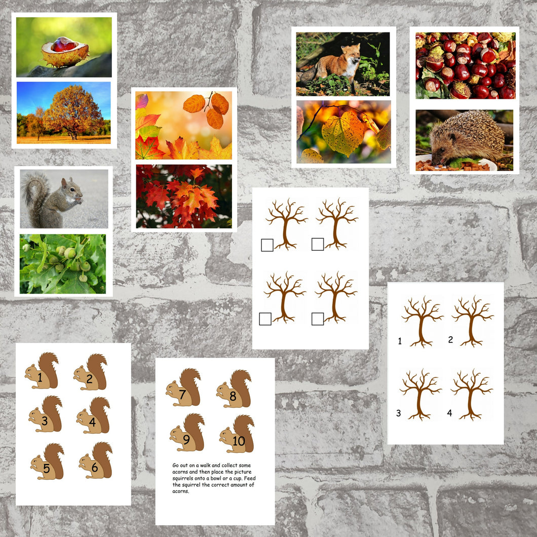 Autumn Activity Pack