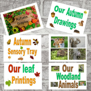 Autumn Display Titles