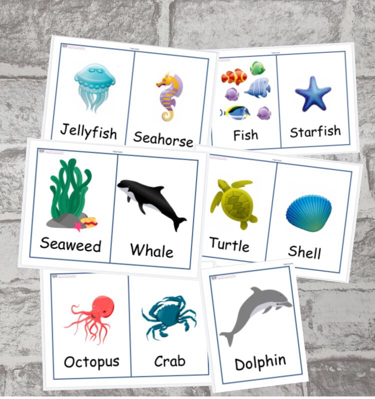 Under the Sea Flash Cards