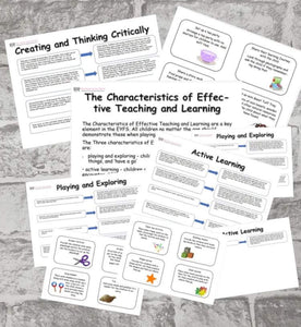 Characteristics of Effective Teaching and Learning Support Set